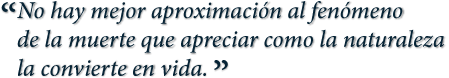 'No hay mejor aproximación al fenómeno de la muerte que apreciar como la naturaleza la convierte en vida. '